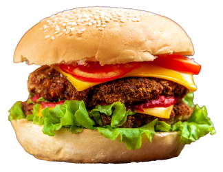 burger-1