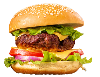 burger-5